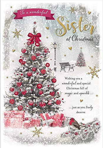 Piccadilly Greetings Foto-Weihnachtskarte für Schwester, Rot/Beige/Braun/Grau, 22,9 x 15,2 cm