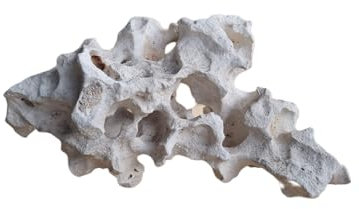 NATUNAE Lochgestein fur Aquarium Malawi groß XL 1,6-2 Kg (XL)
