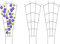 Verbundenes Spalier (Fächerform, 1)