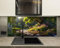 Myphotostation Verzauberter Waldbach mit Hirsch, gehärtetes Glas, Spritzschutz für Küche, Herd, Wandschutz, Herd-Wandplatte, Herd-Rückabdeckung, 30,5 x 25,4 cm