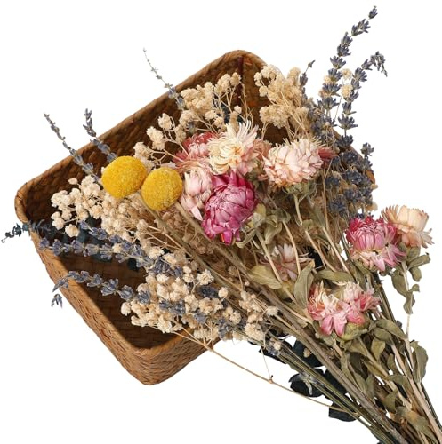 27 Stück Getrocknete Blumen Lavendelzweige,Gänseblümchen,Schleierkraut,Eukalyptusblätter,goldene Hammerblumen,Natürliche Gemischte Echte Getrocknete Gepresste Blumen für Heimtischdekora
