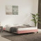 Aggiorna Giroletto Rosa 140x190 cm in Velluto Divano Letto Angolare Rete Singola Vestiletto Matrimoniale Contenitore Letti a Soppalco una Piazza e Mezza Coprirete Bed Frame