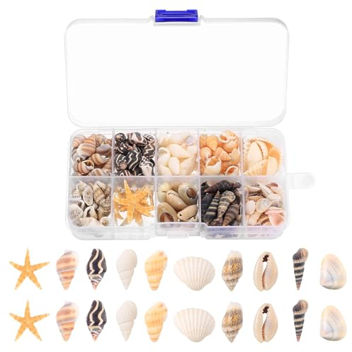 1 Box/ca. 220 StückMuscheln zum Basteln, Natürliche Muscheln Deko Muscheln mit Seestern, Meeresmuscheln Gemischte, Seesterne Decor für Vase Füller Strand Fisch Panzer Hochzeitsdeko DIY Handwerk