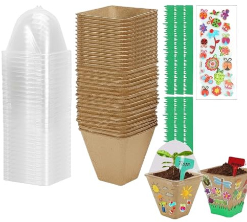 Fun Planting Toys, Children Gardening Set, Nature Learning Kit with Mini Greenhouse, Science Experiment Plant Grow Kit with Craft Supplies, Reusable Seed Starter Pots, for Classroom Home Science