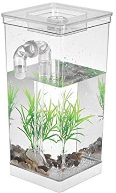CHYIR Selbstreinigendes kreatives Aquarium, kreatives Geschenk für Büro und Kinderschreibtisch-Aquarium