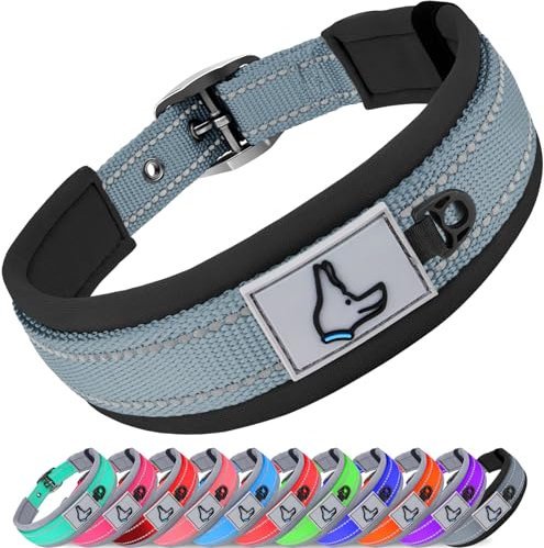 Joytale Halsband Hund, Weich Hundehalsband Gepolstert Neopren Hunde Halsband für Mittelgroße Hunde, Nylon Reflektierend Breit Halsbänder, Grau