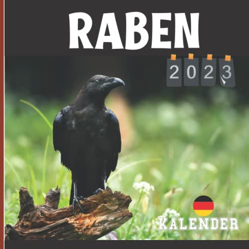 Raben kalender 2023: 12 Monate | Kalender 2023 Lustiger Raben | geschenke für Männer Frauen Kinder | Lustige Geschenke für Weihnachten, Neujahr, Geburtstag ... | 12 Farbfotos