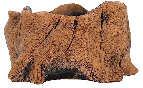 YARNOW Mini Contenitore Vaso per Piante Vaso Tronco di Fiori Vaso di Cactus Rustico Ceppo di Tronco di Legno Galleggiante Piantatrice di Radici D'albero Vasi per Piante Fioriera