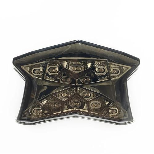 Rücklicht, Blinker, integrierte Bremse für Kawasaki, Z900, Z650, Ninja 650, 2017, 2018, 2019, Motorrad-Rücklicht, Bremslicht (Rauch)