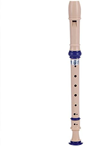 FZYE Barock Fingersatz Professionelle Altblockflöte Deutscher Stil 8 Loch Tonart C Wind Musikinstrument ABS Harz Kunststoff Mit Reinigungsstab Tragetasche Blau (Color : Blue, Size : 8 h