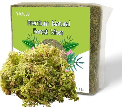 Yilotuce 430g Orchid Moss for Potted Plants, Nice Soilless Potting Soil for Cutting