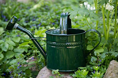 KUHEIGA Gießkanne 6 Liter Grün Metall Zinkkanne Verzinkt Kanne 6009 Giesskanne