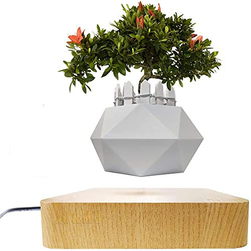 Wytcyic Levitating Floating Pflanztopf, Air Bonsai Topf, Magnetisch Rotierender Levitating Pflanzgefäß, Für Home & Office Decor & Geschenk (Light Wood Base)