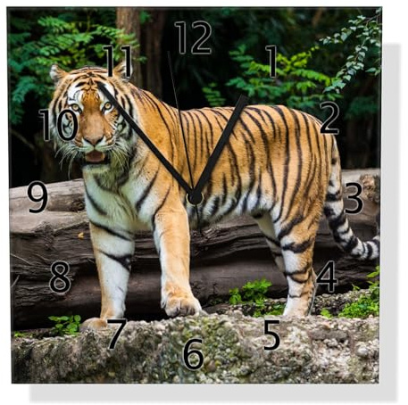 Wallario Design-Wanduhr Blick des Tigers aus Glas, Motiv-Uhr Größe 30 x 30 cm, Schwarze Zeiger