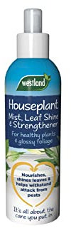 Westland Horticulture Houseplant Mist & Leaf Shine Plant Food 250ml