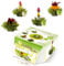Creano Variation de fleurs de thé dans le format de tasse exclusif - 8 fleurs de thé en 4 variétés différentes (thé vert)