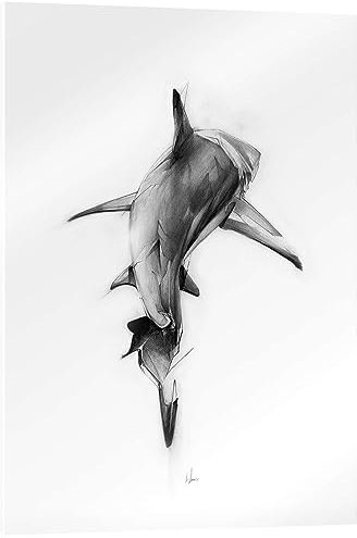 Posterlounge Shark II Acrylglasbild