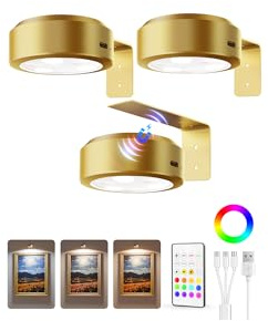EZVALO Picture Lights for Wall, 2000mAh Rechargeable Battery Magnetic Poster Lights with 3 Color Temps & 12 RGB, Remote Dimmable Timer Painting Light, Wall Decor Light for Art Display, Frame (3 Pack)