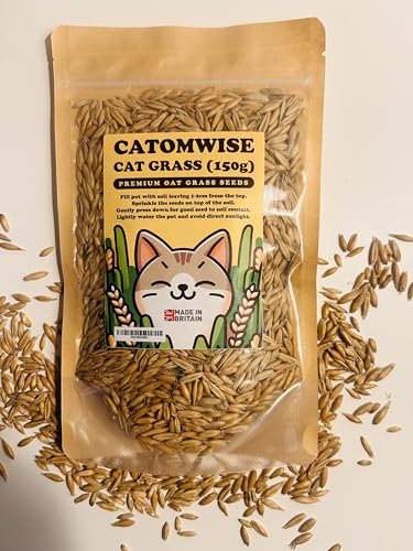 Cat Grass Seeds 150g | Nutrient packed UK grown Oat Grass Seeds - Up to 1 years supply | Great for Indoor Cats| Cat grass for outdoor cats