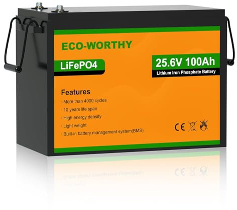 ECO-WORTHY LiFePO4 100Ah 24V con protezione BMS e 4000-15000 cicli, batteria al litio 24V 100Ah per camper, roulotte, impianto solare completo