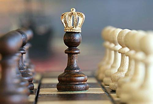 TWYYDP Classic Wooden Puzzle 1000 Pieces International Chess Picture Photo Home Decor
