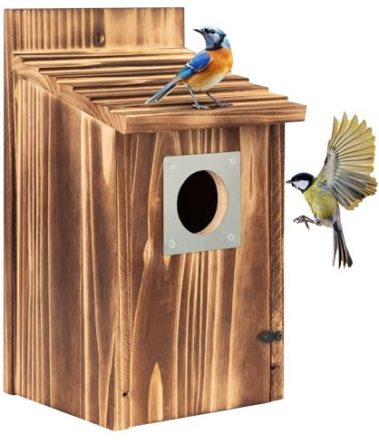 Casetta per uccelli da esterno, casetta in legno Bluebird con guardia dei predatori, nido per uccelli selvatici, fringuelli Bluebird Cardinali da appendere Casetta per uccelli da giardino o cottage di