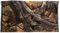 WYSKONT Aquarium Rückwand 3D Zakynthos - Aquarium Hintergrund - Aquarium Zubehoer - Hintergrund - Aquarium Deko - 97x45 cm für Aquarium 100x50 cm - braune Farbe - Aquarium Groß