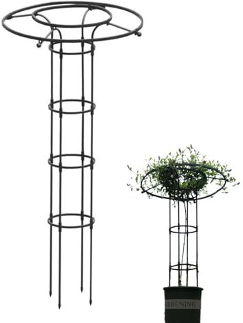 Rankgitter für Kletterpflanzen | Hohe Metall Garten Obelisken für Kletterpflanzen | Garten-Rankhilfe für Kletterpflanzen | Metalldrahtpfahl Rankgitter für Zimmerpflanze | Rankgitter für Topfpflanzen
