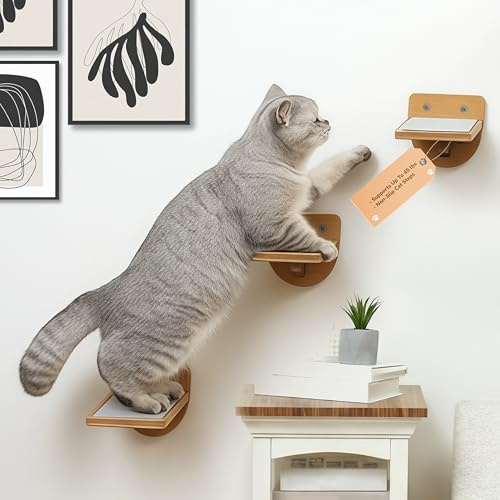 PurrHouse 14,5 kg Kapazität Katzenwandtreppe für Indoor-Katzen Klettern, 3er Set Katzenwandklettersystem mit Anti-Rutsch-Kratzpads, Wandtreppe für verschiedene Regale & Sitzstangen, Naturholz