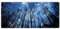 Extended Gaming Mauspadmatte Große Schreibtischmatte Rutschfeste Gummibasis Computer Desktop Laptop Tastatur Mausmatte Genähte Kanten, 35,1 x 15,75 Zoll XXL Mousepad für Arbeitsspiel, Galaxien Wald