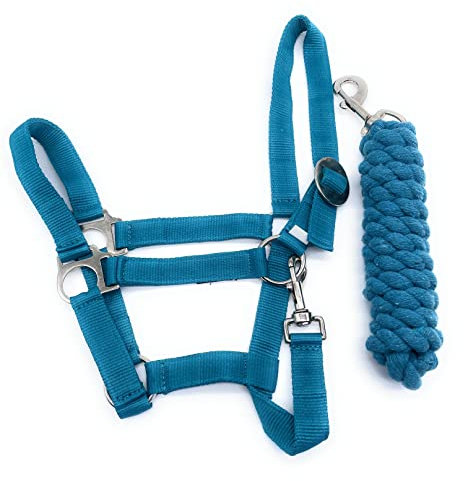 ARBO-INOX Halfter-Set Basic Halfter stufenlos verstellbar mit Führstrick (Pony, Türkis)