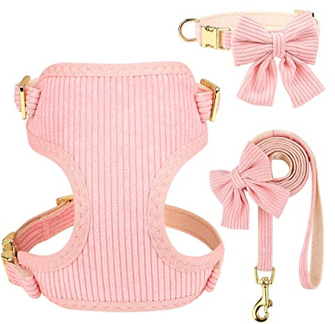 Didog süße Halsband Harness und Leine Set für kleine Hunde, verstellbare Halsbänder und Leinen mit Fliege, atmungsaktive weiche Mesh-Polsterverkleidung für kleine Hunde beim Gassi gehen, Rosa, S