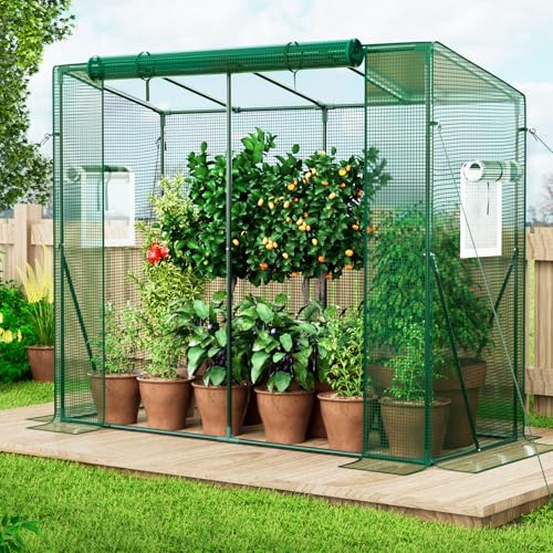 SPECILITE Heavy Duty Lean to Greenhouse for Outside, Portable Walk-in Green House with Thicken PE Cover, Roll-Up Zippered Door & 2 Ventilation Mesh Windows, Large Plastic Greenhouses for Outdoors
