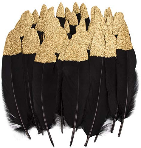 Bunte Federn, 40 Stück Gold/Silber getauchtes natürliches rot/Schwarz Gänsefedern, ideal als Dekoration zum Karnival für Halloween Fest Masken, Kostüme und Basteln für Kinder(Feathers F)