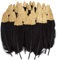 Bunte Federn, 40 Stück Gold/Silber getauchtes natürliches rot/Schwarz Gänsefedern, ideal als Dekoration zum Karnival für Halloween Fest Masken, Kostüme und Basteln für Kinder(Feathers F)