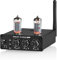 Douk Audio P6 Tube Preamp Home Audio Preamplifier Mini Valve Pre Amp with Bluetooth Bass and Treble Tone Controls for HiFi Stereo Active Speakers with RCA USB Input