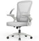 naspaluro Chaise Bureau avec Accoudoir Réglable, Fauteuil Ergonomique en Maille Respirante avec Soutien Lombaire, Dossier Inclinable et Hauteur Réglable, Roulette Pivotant à 360°, Gris