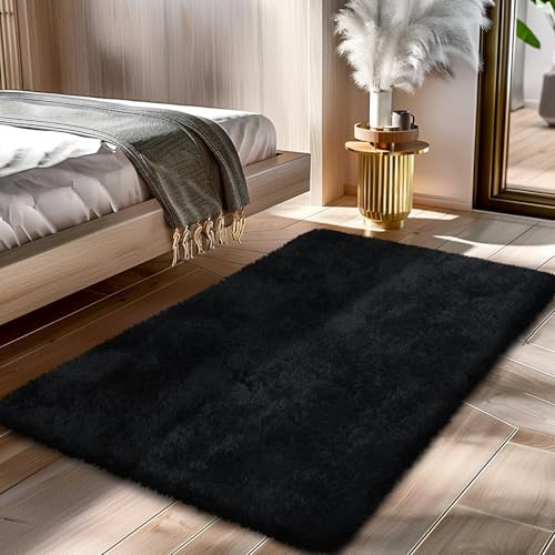 Fluffy Rug Shag Area Rug, Black 2x4 Area Rugs for Bedroom, Small Bedside Rug, Soft Fluffy Shag Entryway Throw Rugs for Living Room Bedroom Kids Room Home Decor