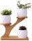 LINGLAN 1 set gufo in ceramica vasi da giardino moderno decorativo cameretta succulente piante vasi da fiori fioriere 3 bonsai con mensola ripiani in bambù