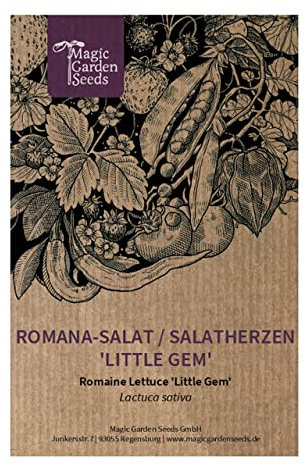 Romana-Salat 'Little Gem' (Lactuca sativa) 500 Samen Salatherzen Römersalat
