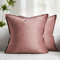 Federe Cuscini Divano Copricuscini Borde Avvolte Federe Cuscini Arredamento Casa Moderni Elegante Morbido in Velluto con la Cerniera Invisibile per Camera da Letto Arredo 2 Pezzi Rosa 40X40 CM