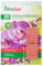 Floraline 20 Düngestäbchen für Orchideen 100 Tage Düngekraft Nährstoffe Pflanzen