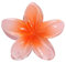 Pinces à cheveux en forme de fleur, pinces à cheveux antidérapantes pour femmes, jolies pinces à cheveux pour femmes, pinces à cheveux antidérapantes, pour cheveux épais et fins