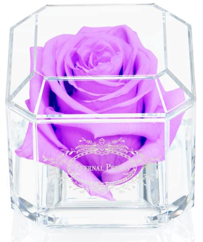 A 100% Real Rose That Lasts Years - Eternal Petals, Handmade in UK – White Gold Solo (Lilac)