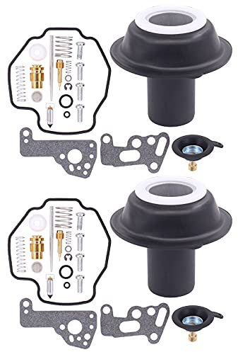 Doo Engy Vergaser Reparatur Satz für Yama-ha Virago 535 XV535 1990-2001