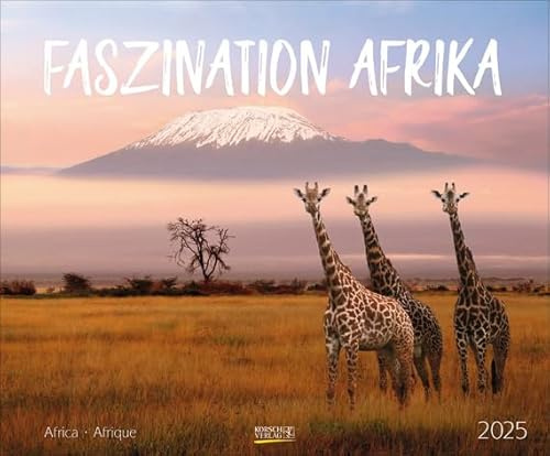 Faszination Afrika - Kalender 2025 - Art-Format - Korsch-Verlag - Fotokalender - Naturfotografie - 55 cm x 45,5 cm