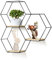 KUKKUME Hexagon Wandregal Metall 3er Set Modernes Regal Wand Deko Hängeregal Wandregale Schwarz Metall und Holz Schweberegal Pflanzenregal für Schlafzimmer Wohnzimmer Küche Bad Flur und Büro