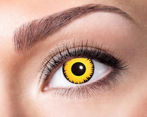Eyecatcher Motivlinsen - farbige 3-Monats-Kontaktlinsen - Löwe m30