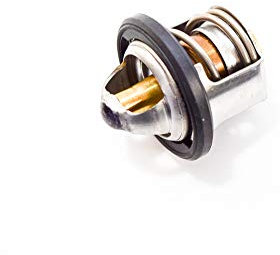 PIAGGIO Termostato 82831R5 con Guarnizione per Beverly/Vespa GT