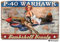 Eletina twinkle Blechschild P-40 Warhawk Pin Up Girl Bombaheee Beauty Schild Indoor und Outdoor Retro Club Bar Restaurant Poster Wanddekoration 20,3 x 30,5 cm